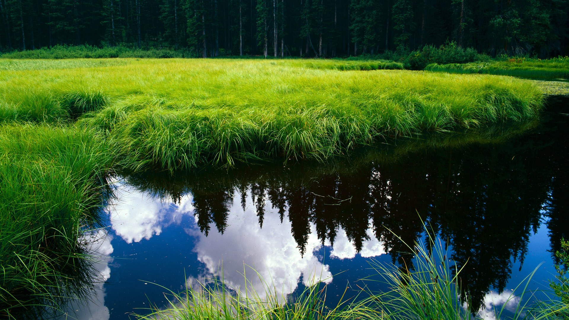 kaiyun sports safe-巴西男篮在巴黎奥运会小组赛中战胜日本队，巴西男篮里约奥运会
