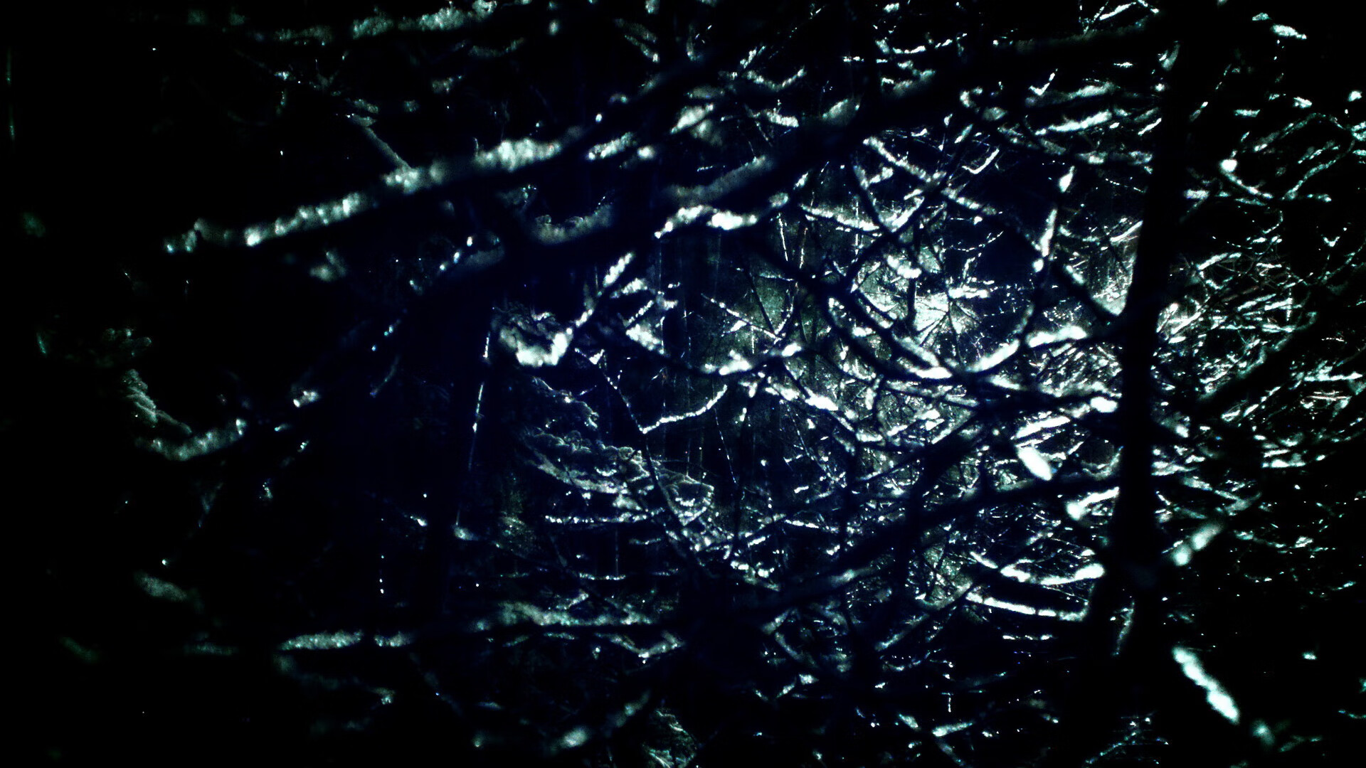 广州队员表现抢眼,力争实现逆转!,广州队队员号码