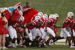 kaiyun xiazai-全国青少年皮划艇竞速赛在杭州顺利举行，青少年皮划艇夏令营活动