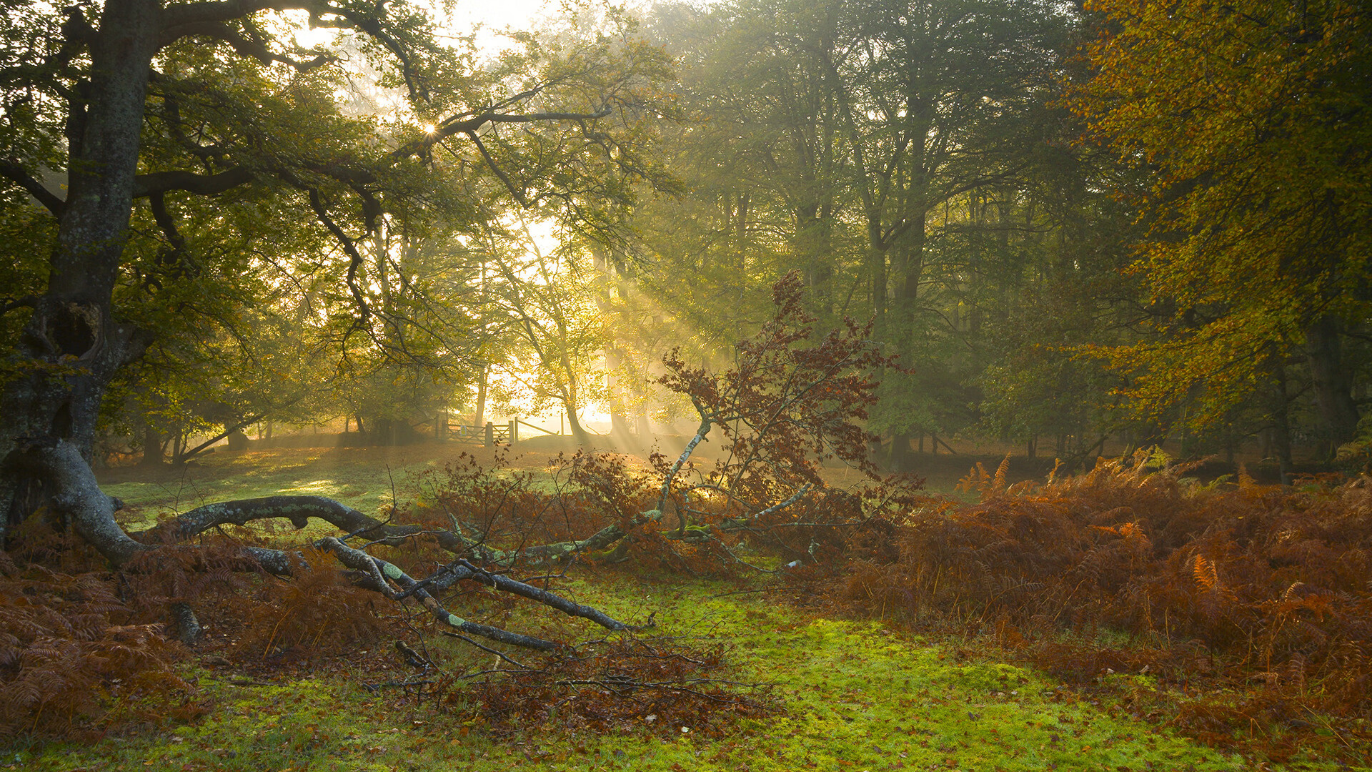 体育新闻中心参与体育内容版权国际合作项目，专业的体育新闻网站