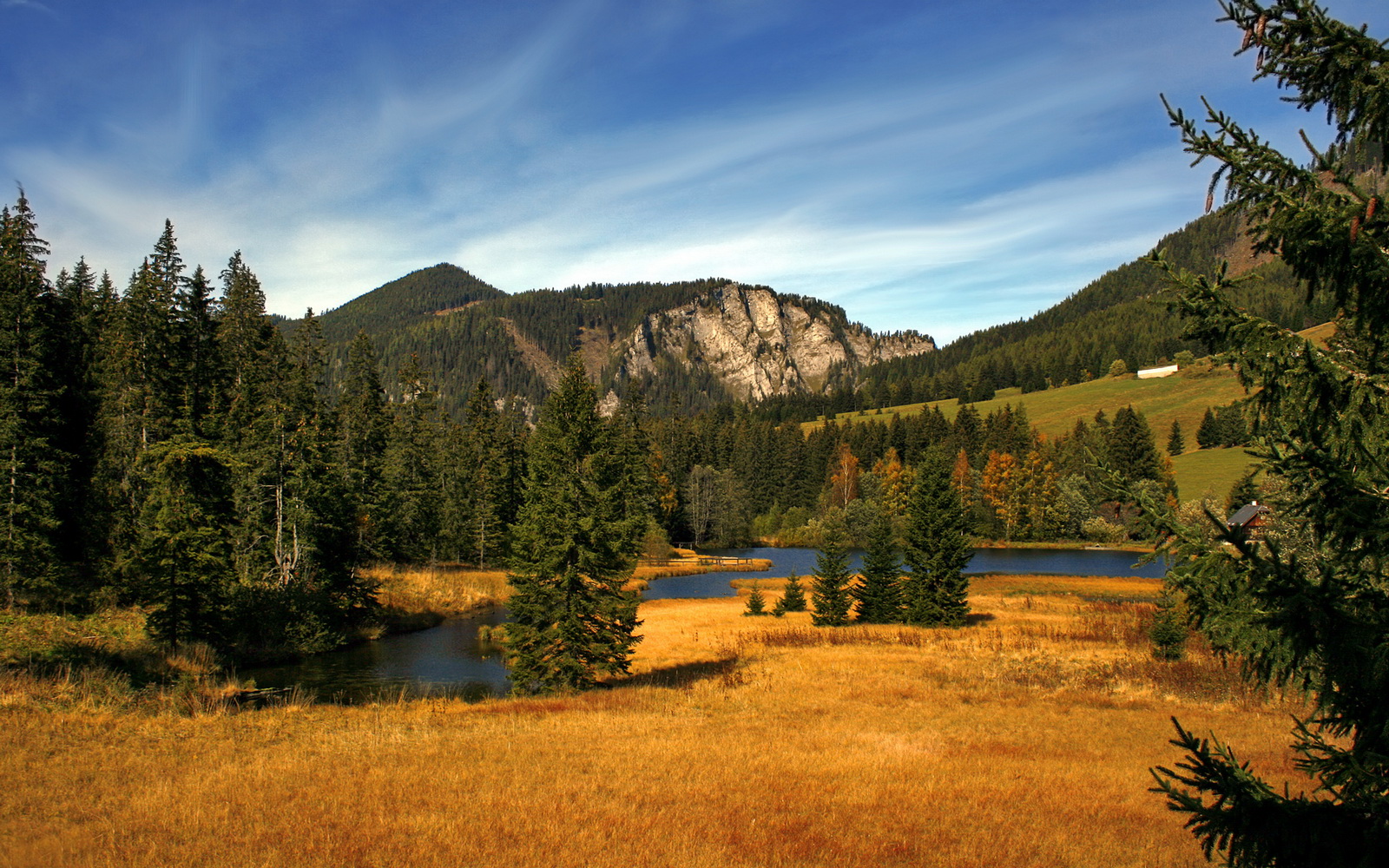 开云体育下载网页版-新人崛起体操小将一鸣惊人