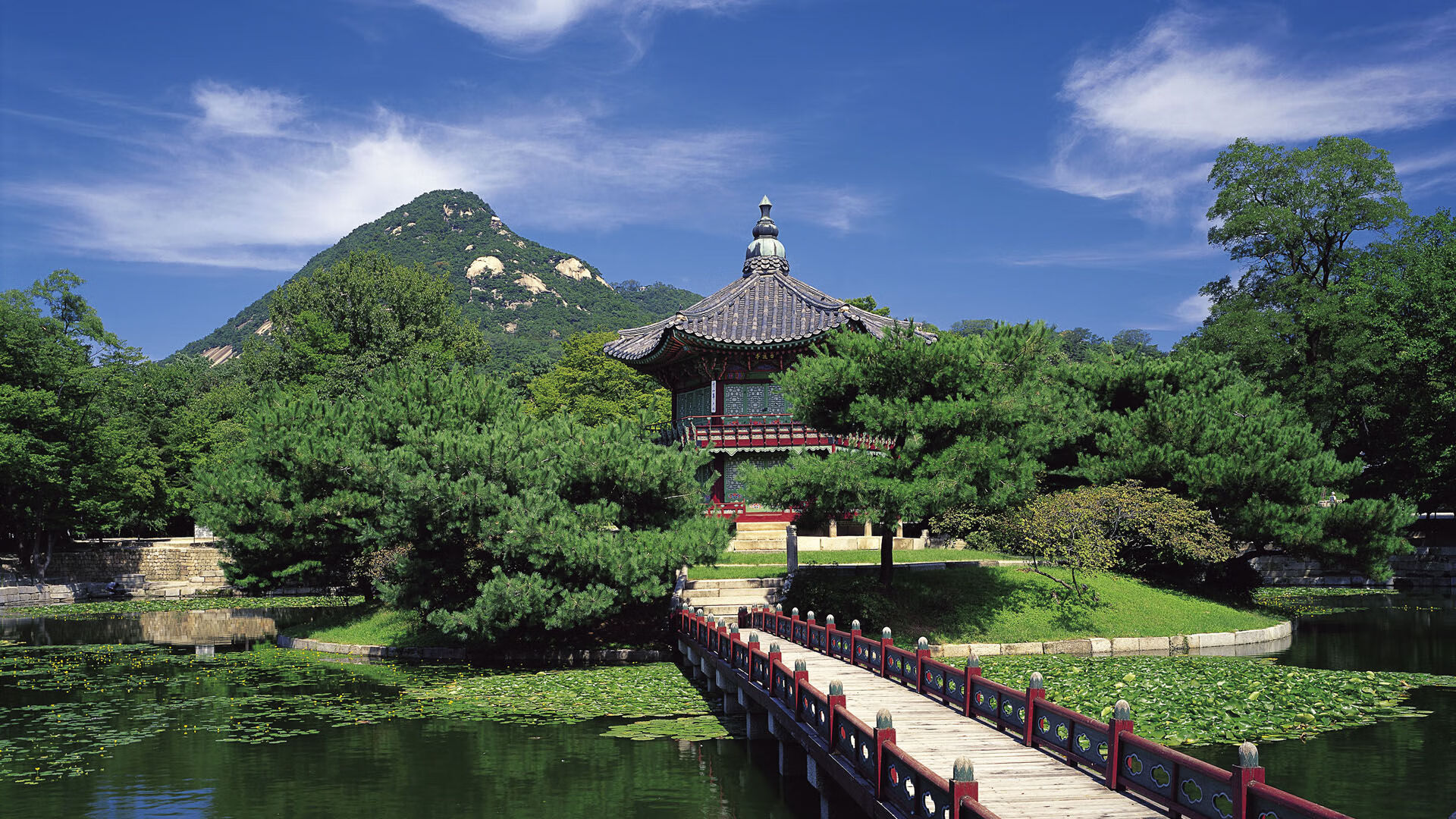 麦金托什刷新个人800米自由泳最佳成绩,加拿大游泳运动员麦金托什